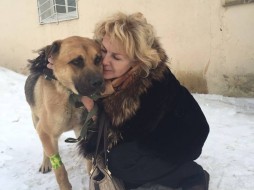 Якуты в Москве. Истории собак, спасенных из «якутской усыпалки»