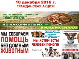 Сеть супермаркетов «Токко» в Якутске присоединилась к акции зоозащитников