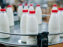 СМИ: цены на молоко вырастут на 10% в 2017 году
