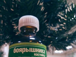 Правительство России поручило МВД и Минфину принять меры по контролю за оборотом спиртосодержащей продукции 