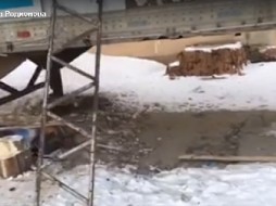 В Бурятии в закрытой фуре замерзают животные передвижного цирка 