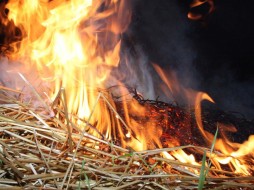 В Якутии в селе Токко сгорело сено