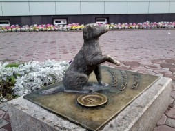 В Якутске появится собачка-копилка