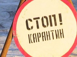 Все школы Якутска закрыты до 23 января на карантин
