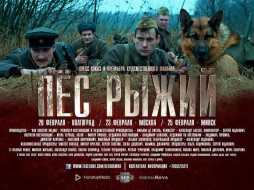 Фильм "Пес Рыжий" в феврале представят в Волгограде, Москве и Минске