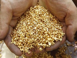 В Якутии незаконно добыто 2,5 кг золота 