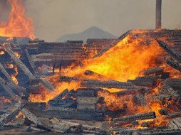 Около 30 новых природных пожаров вспыхнули на Дальнем Востоке за минувшие сутки