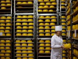 Россельхознадзор запретит поставки молочной продукции еще с нескольких предприятий Белоруссии