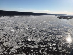 На реке Лена в районе поселка Кангалассы наблюдается густой ледоход 