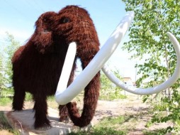 В исправительной колонии № 7 в Якутске осужденные изготовили скульптуру мамонта в натуральную величину 