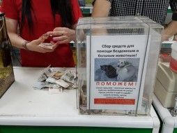 Магазин "Зоомир" в Якутске передал Фонду "Белый Бим" деньги, собранные на бездомных животных 