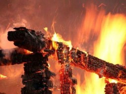 В городе Мирном сгорела теплица