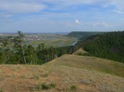 В Якутске житель Тулагино осужден за вырубку 165 деревьев на Чочур-Муране