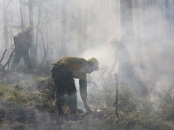 В Якутии выявлены пятнадцать лиц, причастных к возникновениям лесных пожаров