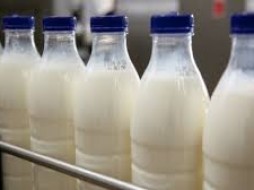В Якутии забраковано 33 партии молочной продукции весом более 255 кг