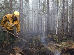 Рослесхоз рекомендует Якутии не опоздать с введением режима ЧС в лесах