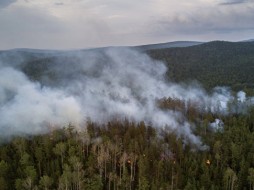 Самое большое количество лесных пожаров зарегистрировано в Якутии