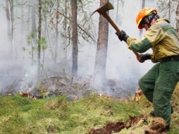 В Якутии в девяти районах действует 17 лесных пожаров 