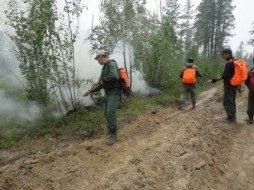 В Якутии из-за лесных пожаров введен режим ЧС