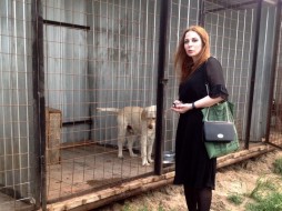 Марина Ахмедова намерена уволить ветеринара пункта передержки животных Якутска