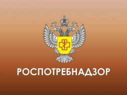 Роспотребнадзор обнаружил нарушения в 81% проверенных детских лагерей в России 