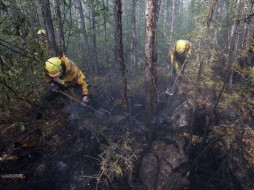 На территории "Ленских столбов" возникли два лесных пожара