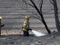 В Сицилии 15 пожарных-волонтеров намеренно поджигали леса, чтобы заработать больше денег