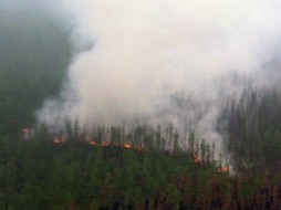 В Якутии 14 граждан привлечены к ответственности за нарушения правил пожарной безопасности в лесах
