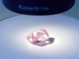 Компания "Алмазы Анабара" добыла уникальный розовый алмаз массой 27,85 карата 