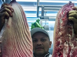 Россельхознадзор может запретить поставки свинины и говядины из Бразилии