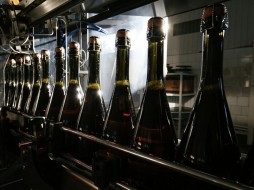 Российские производители не будут повышать цены на шампанское к Новому году