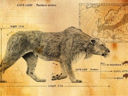 В Якутии найден пещерный лев