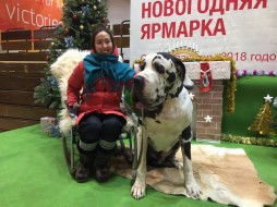 В Якутске на новогодней ярмарке работает фотозона с собаками ФОТО+ВИДЕО