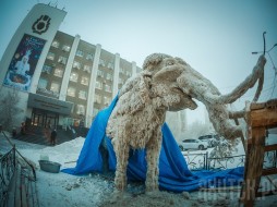 В центре Якутска появится снежная фигура мамонта с мамонтенком