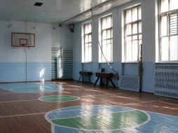 Гибель ученицы на уроке физкультуры в московской школе попала на видео