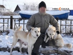 Клонированную собаку Кэрэчээнэ привезут на Дни Якутии в Москве