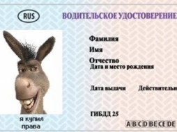 В Нюрбинском районе Якутии водитель купил поддельные права