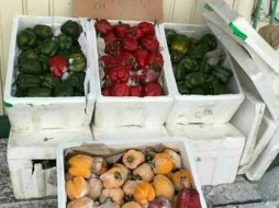 ФОТОФАКТ На севере Якутии продают замороженные овощи 