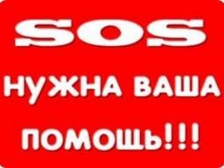 Волонтеры Якутска просят помощи в спасении щенков, попавших в ледяной плен!