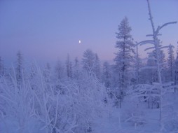 6 февраля до обеда отключений света в Якутске не будет