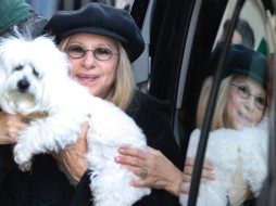 Актриса Барбра Стрейзанд дважды клонировала свою умершую собаку 