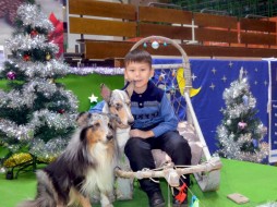В Якутске пройдет весенняя фотозона с собаками