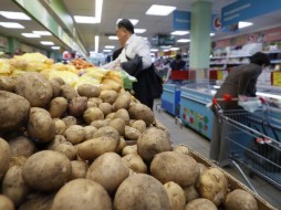 Россельхознадзор ограничивает ввоз картофеля из Белоруссии 