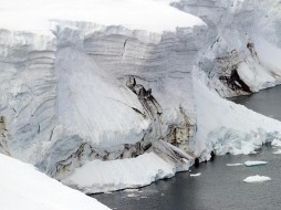 Во льдах Арктики ученые из Германии выявили рекордное содержание микропластика