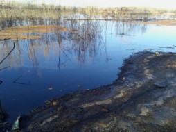 Населению рекомендуется запастись питьевой водой в связи с утечкой нефтепродуктов