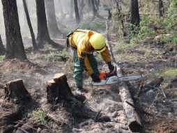 В Намском районе Якутии локализован один лесной пожар