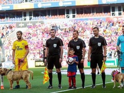 Футболисты ЦСКА в день защиты животных вышли на поле с собаками из приюта 