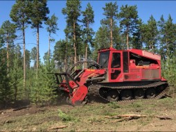 В Центральном энергорайоне продолжается расчистка просек