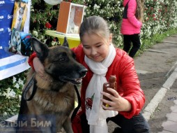 Фотозона с собаками. Фонд защиты животных "Белый Бим" провел благотворительную акцию