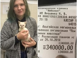 Жительница Майкопа оплатила долг приюта для животных перед ветеринарной клиникой